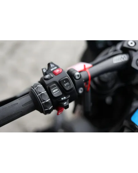 BMW M 1000 R Competition 2024 Usada – 4 509 km | Motocar